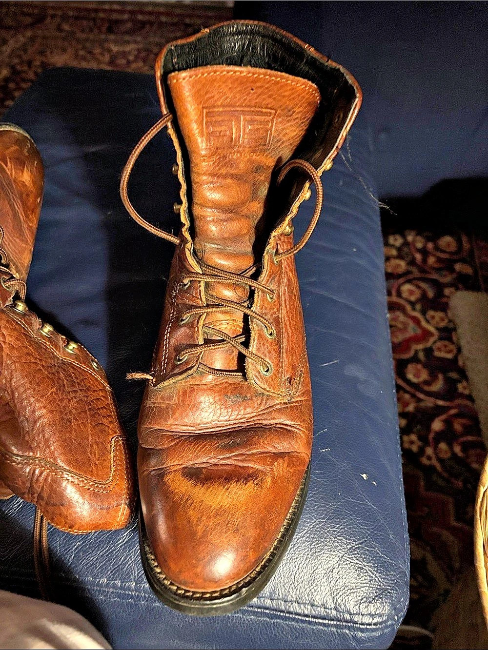Ariat Cascade 8" Lace-Up Work Boot Boots Brown